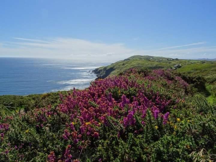 Escape To The Beara Peninsula. Apartment Castletownbere Bagian luar foto